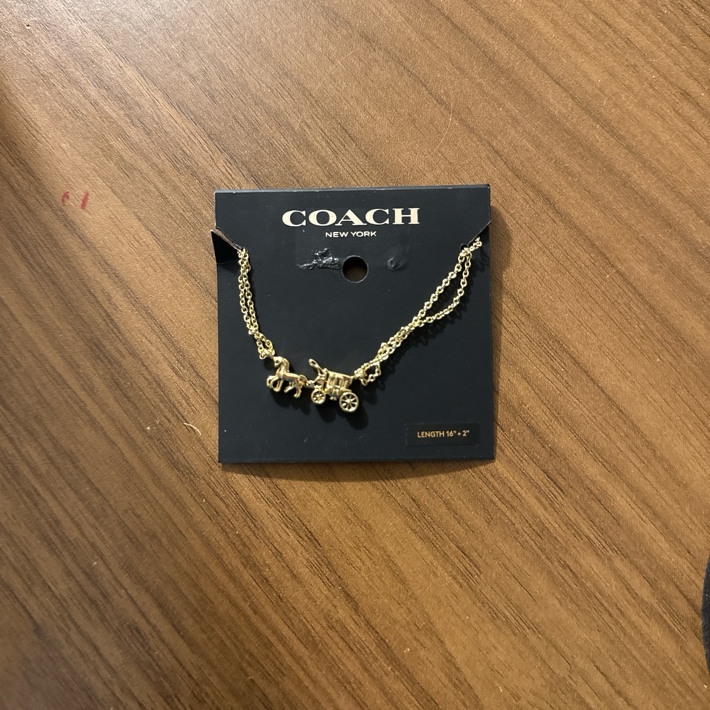 Coach Gold Chain-Link Necklace